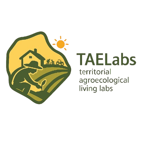 TAELabs Logo