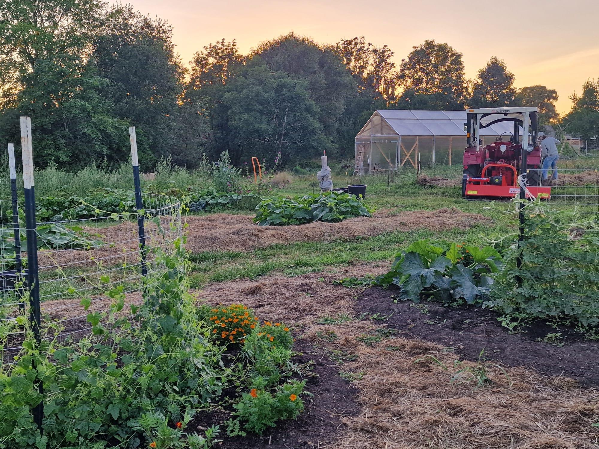 Market garden for future farmer generations