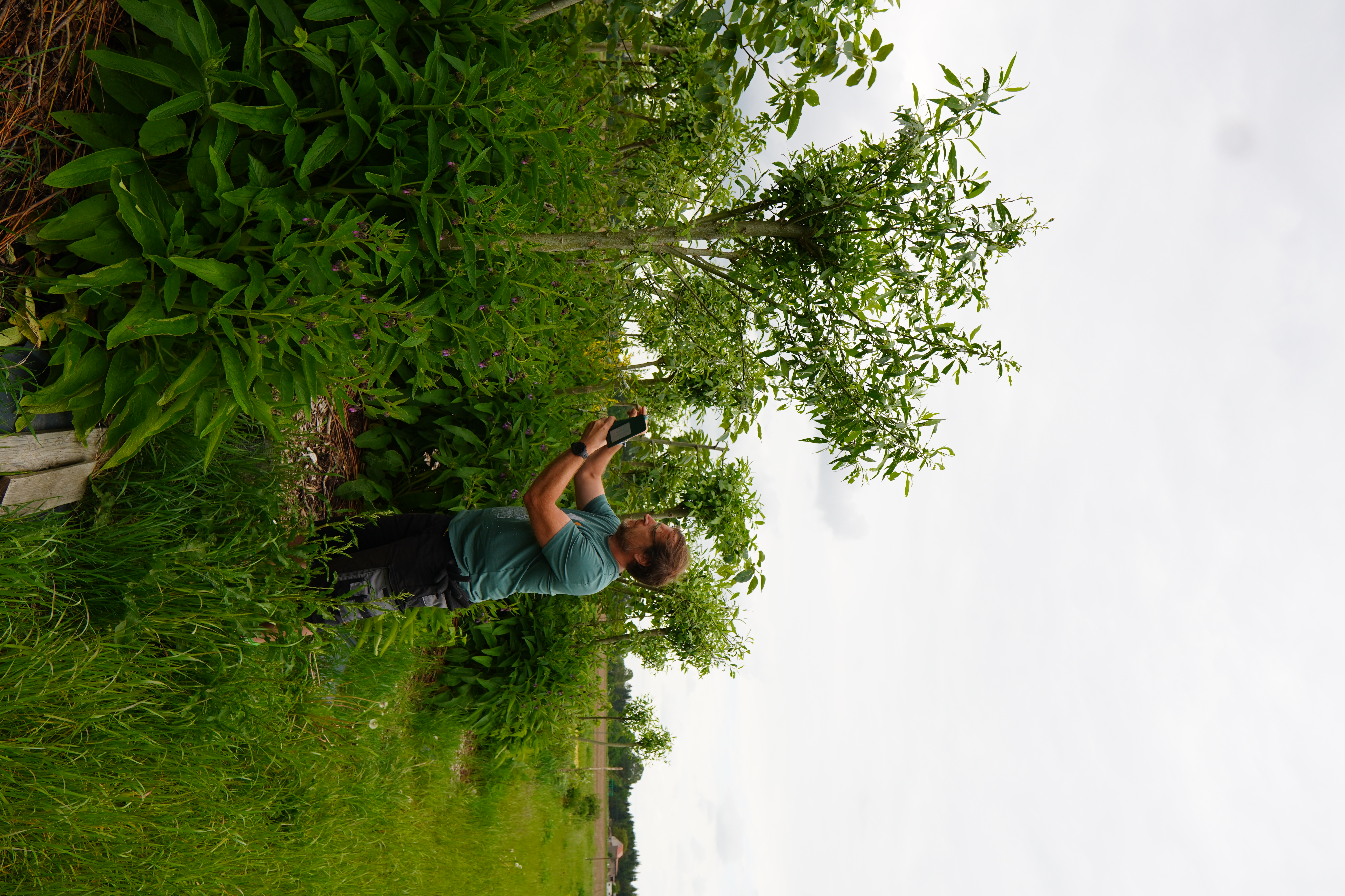 BaumFeldWerk tree nursery in the field