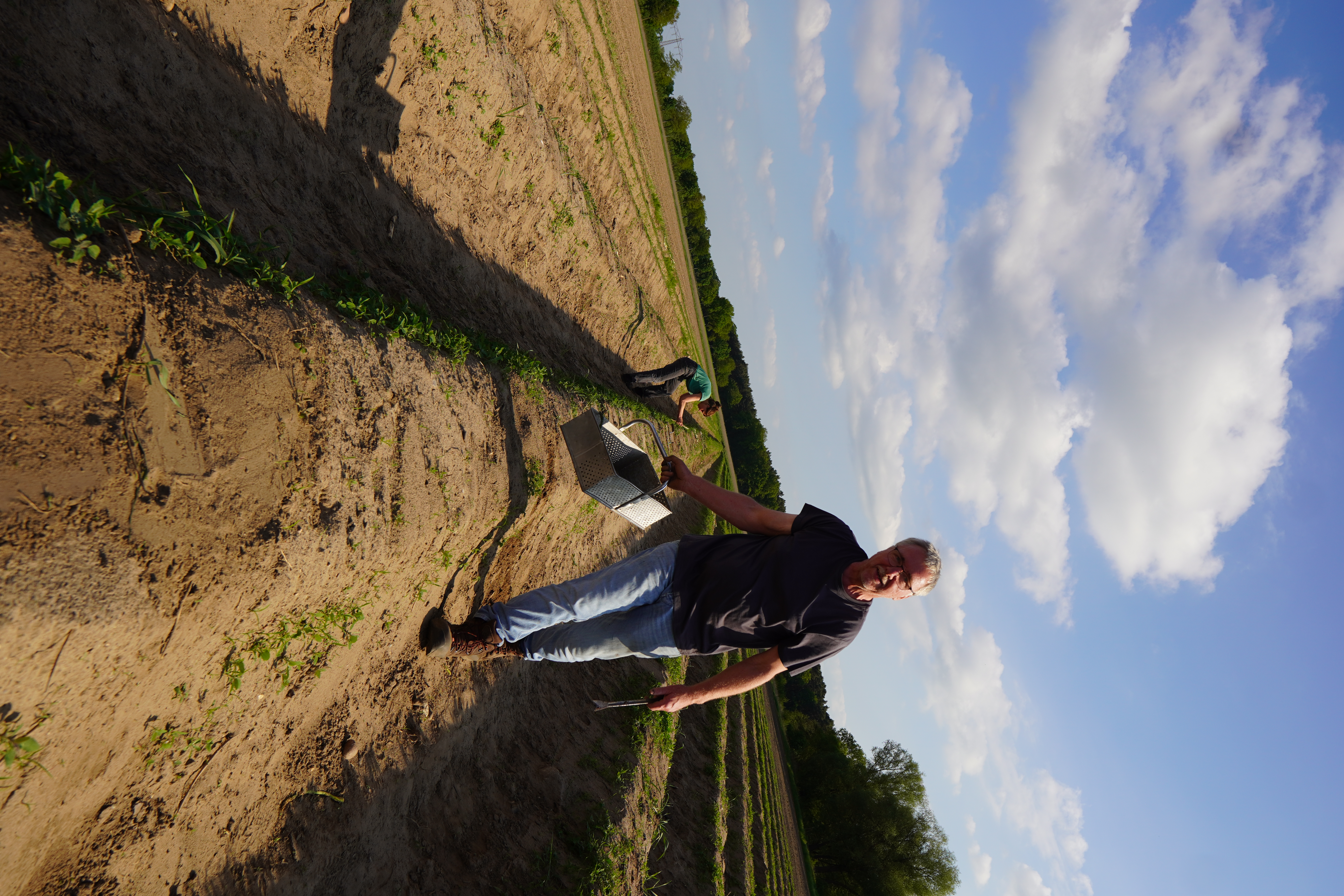 Reiner Guhl on his asparagus field